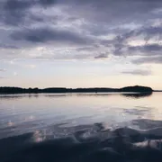 Profile picture of Sher Z