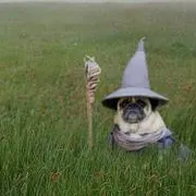 Profile picture of Anne S.