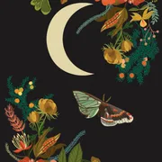 Profile picture of Donna 🐚