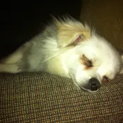 Profile picture of Tania D.