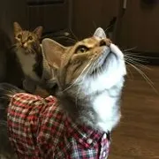 Profile picture of Alex