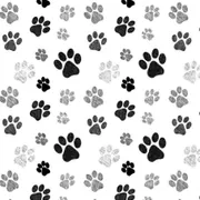 Profile picture of M H K