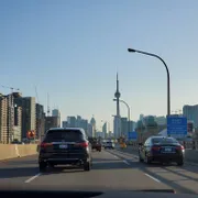 Profile picture of Karanpreet S.