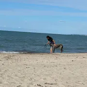 Profile picture of Syeda A.