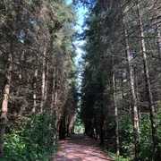 Profile picture of Bee 