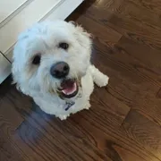 Profile picture of Suzy S