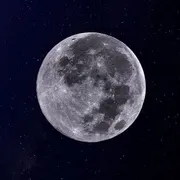 Profile picture of Lilith D.