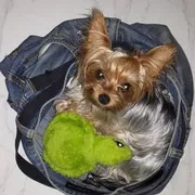 Profile picture of Trish