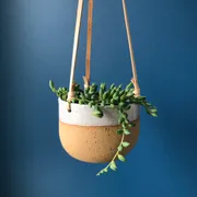 Profile picture of Jill H.