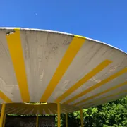 Profile picture of Anni