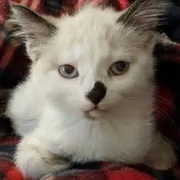 Profile picture of Kiera W.