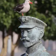 Profile picture of Nathalia R.