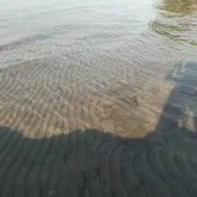 Profile picture of Era W.