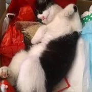 Profile picture of Marie Eve Gt