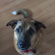 Profile picture of Sup R.