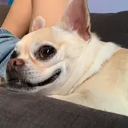 Profile picture of Trang B.