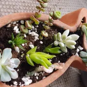 Profile picture of Vanessa M.