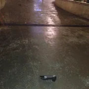 Profile picture of Steph