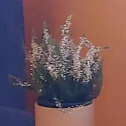 Profile picture of Jackie E.