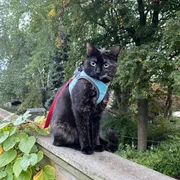 Profile picture of Yana S