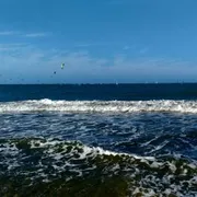 Profile picture of Gem M