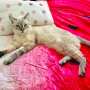 Profile picture of Rebeca S.