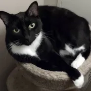 Profile picture of Becs A