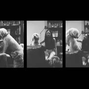 Profile picture of Rachel G.