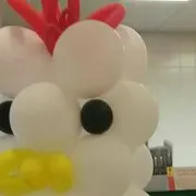 Profile picture of Max A.