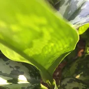 Profile picture of Lawrence D.