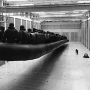 Profile picture of Howie N