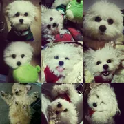 Profile picture of Amy