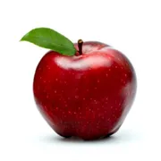 Profile picture of Noa