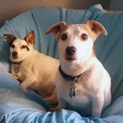 Profile picture of Anth A