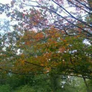 Profile picture of Anike M.