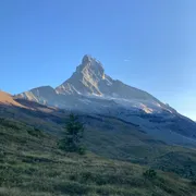 Profile picture of mike