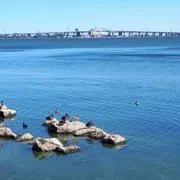 Profile picture of Mike T