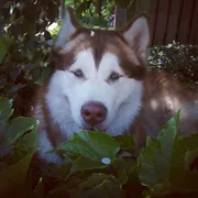 Profile picture of Lina L.