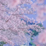 Profile picture of Chloe