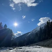 Profile picture of Cass Liang