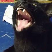 Profile picture of Dana S.