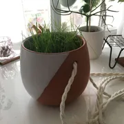 Whitney A. Profile photo 4