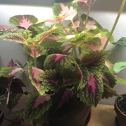 Quinn W. Profile photo 7