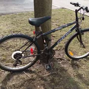 Bogy Profile photo 17