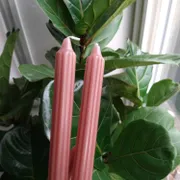 Wendy G. Profile photo 8