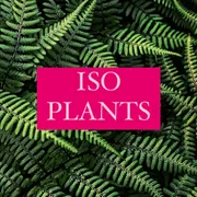 Matt E. Profile photo 24