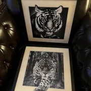 Matt E. Profile photo 23