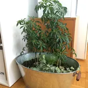 Whitney A. Profile photo 3