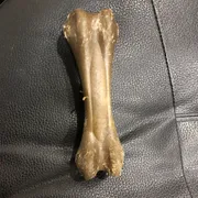 Sup R. Profile photo 7