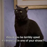 ARIEL D. Profile photo 3